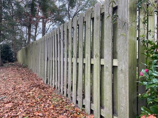 A brown, wooden backyard shadow box fence with a little green growth on it. Brown leaves cover the...