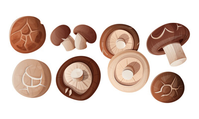 Top view set of Fresh shiitake mushrooms.