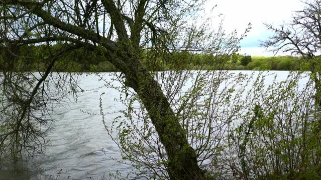 Entre &aacute;rvores e floresta ao fundo, um lago com ondula&ccedil;&otilde;es na &aacute;gua das fortes rajadas de vento