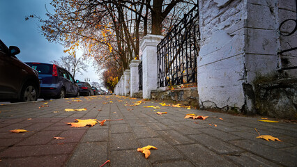 Autumn leaves lie on the paving stones in the city. Autumn city park. - 774165893