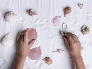 little girl holding sea shells on white sand. Sea summer vacation background . Top view - 774168458