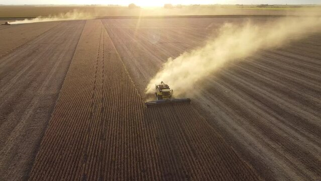 M&aacute;quina trilladora cosechando soja en campo argentino, vista a&eacute;rea con dron, al atardecer con tierra en vuelo por viento y contraluz