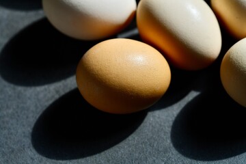 Beautiful close-up view of colorful eggs. Easter. Abstraction. Macro.