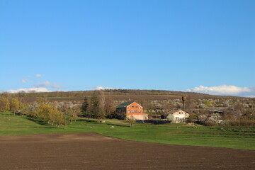 A road with grass and trees and a house in the background