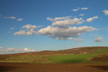 A field with a blue sky and clouds