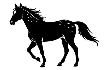 Obraz na płótnie Canvas Appaloosa horse silhouette black vector illustration