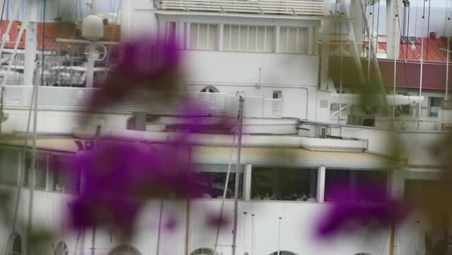 Bougainvillea or buganvilla, bugambilia, Cherei, bouganvel, bunga kertas, bougenville, Kaghazi, Napoleon, jahanamiya, veranera, trinitaria, Santa Rita, papelillo, primavera, Drillingsblume, or Sarawn.