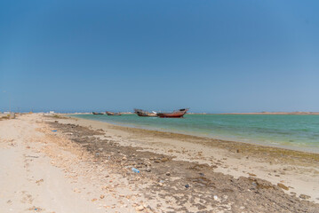Fototapeta premium Oman images from various cities old buildings landscapes villages seashore sea turtles hatching point and crabs coming out of the water