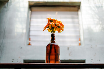gerbera flower blooming in vase bottle decoration in room - Powered by Adobe