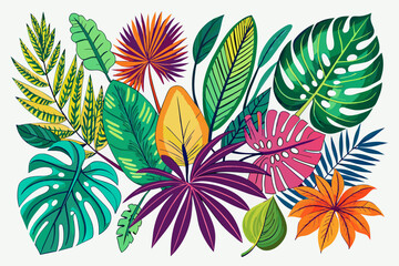 Fototapeta na wymiar hand drawn tropical leaf collections, colorful, white background