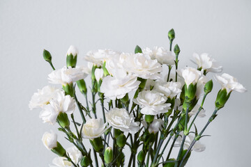 bouquet of white carnation flowers indoor on a white background closeup