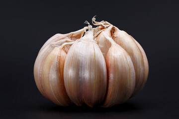 garlic bulb and clove on dark background