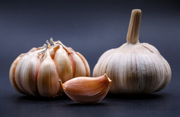 garlic bulb and clove on dark background
