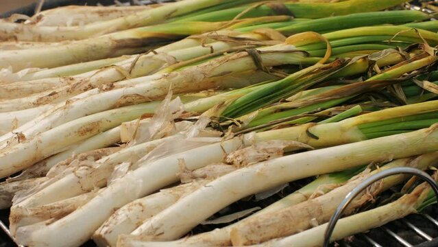 Traditional Spanish catalan green winter onion calcots, spring green season grill barbecue, vegan bbq with fire in Barcelona, Catalonia. Close up of grilling green onion.