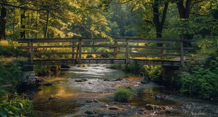 Rustic rural bridge crossing a peaceful stream, surrounded by the lush greenery of an untouched forest.