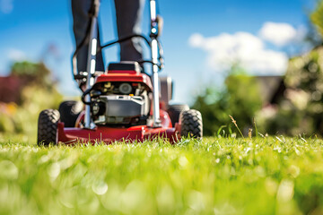 Mowing the lawn with a lawnmower - 774196061