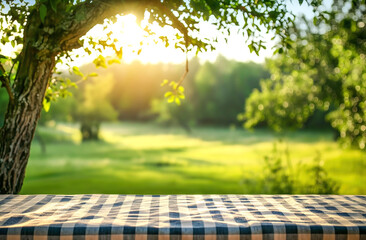 Picnic table covered with checkered tablecloth. Summer landscape - 774196082