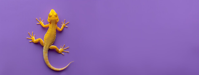 Little yellow lizard on purple background, banner. - obrazy, fototapety, plakaty