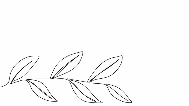 Branch with leaves, one line drawing animation. Video clip with alpha channel.