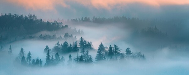 Dense fog at dawn