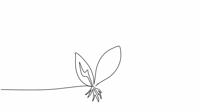 Plant with a sign of power on the leaves, one line drawing animation. Video clip with alpha channel.
