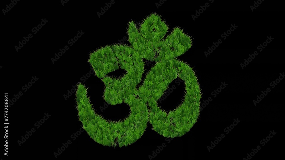 Canvas Prints beautiful illustration of hindu religion om symbol with green grass on plain black background