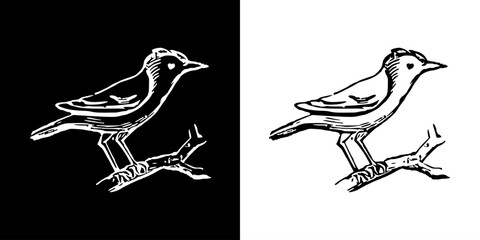 Bird icon. Black icon. Line icon. Black line. Animal. Silhouette