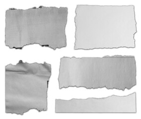 Five pieces of torn paper on white background 