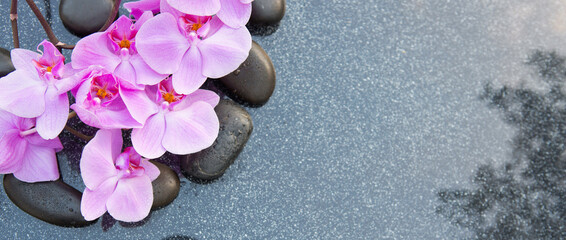 Black spa stone and pink orchid flowers on the gray table background. - 774219019
