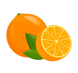 Orange fruit. Oranges that are segmented on a white background, juicy seasonal fruits, citrus. Vector illustration.