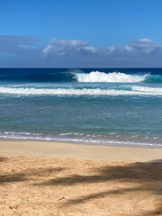 Colorful sea wave with sunny blue sky, and nice sandy beach in Hawaii, Outdoor nature landscape of big ocean waves and clear white sand beach in Hawaii, Haleiwa