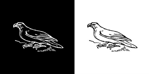 Bird icon. Black icon. Line icon. Black line. Animal. Silhouette