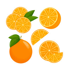 Orange fruit. Oranges that are segmented on a white background, juicy seasonal fruits, citrus. Vector illustration.