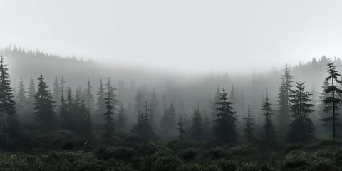 Rolgordijnen A murky, fog-filled forest enveloped in darkness. © Murda