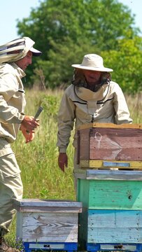 Beekeepers busy at bee farm. Younger apiarist lifts a wooden beehive and takes it to another place. Nature backdrop. Vertical video