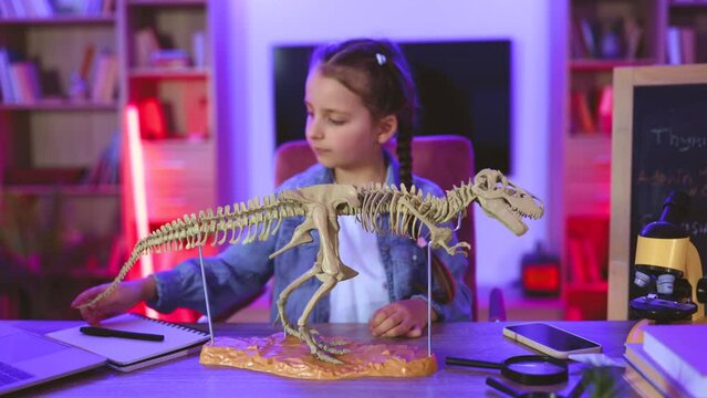 Portrait of smiling little girl sitting at table and examine skeleton of dinosaur. Caucasian child in casual wear making model of tyrannosaurus out of bones in evening at home.