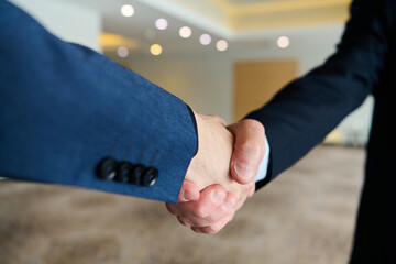 Businessmen making handshake with partner, greeting, dealing, merger and acquisition, business...
