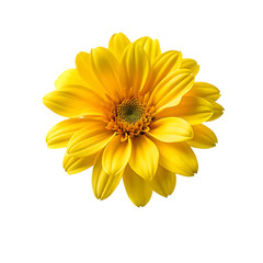 yellow flower design