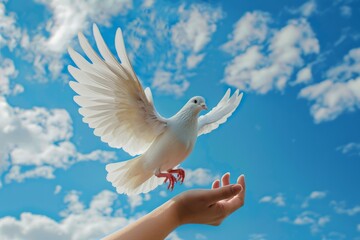 A person gently holds a white dove in their hand against a blue sky backdrop