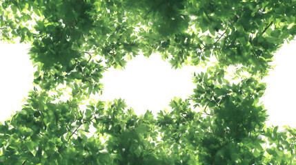 Bright Sunlight Shining Through Lush Green Tree Canopy