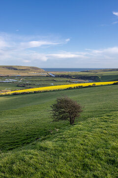 Looking out over the Cuckmere Valley towards the Sussex coast, on a sunny spring evening