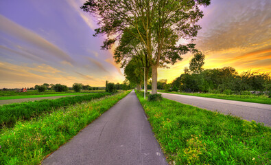 Trees along a country road in The Netherlands at sunset.