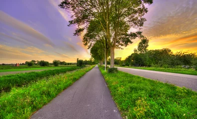 Foto auf Leinwand Trees along a country road in The Netherlands at sunset. © Alex de Haas
