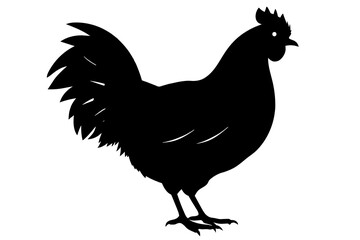 silhouette of a chicken silhouette,tattoo design, icon Silhouette,logo, and vector illustration