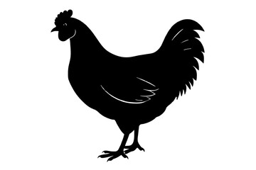 silhouette of a chicken silhouette,tattoo design, icon Silhouette,logo, and vector illustration