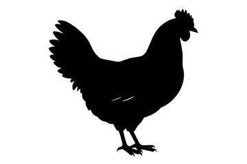 silhouette of a chicken silhouette,tattoo design, icon Silhouette,logo, and vector illustration