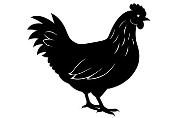 Fototapeta na wymiar silhouette of a chicken silhouette,tattoo design, icon Silhouette,logo, and vector illustration
