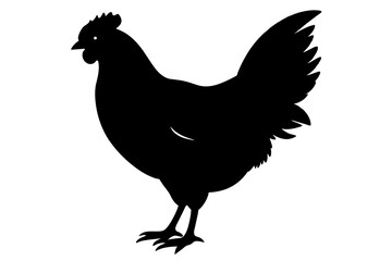 silhouette of a chicken silhouette,tattoo design, icon Silhouette,logo, and vector illustration