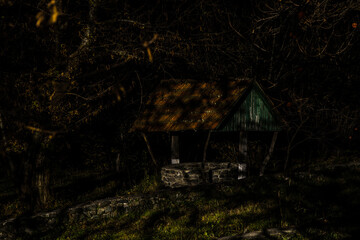 Abandoned Gothic-style Well in the Forest at Night. Concept of Fear and Danger.