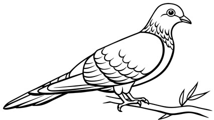 Graceful Dove Bird Silhouette on Branch